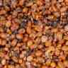 Купить Зерновая смесь MINENKO Bird Food Chilli (4кг)